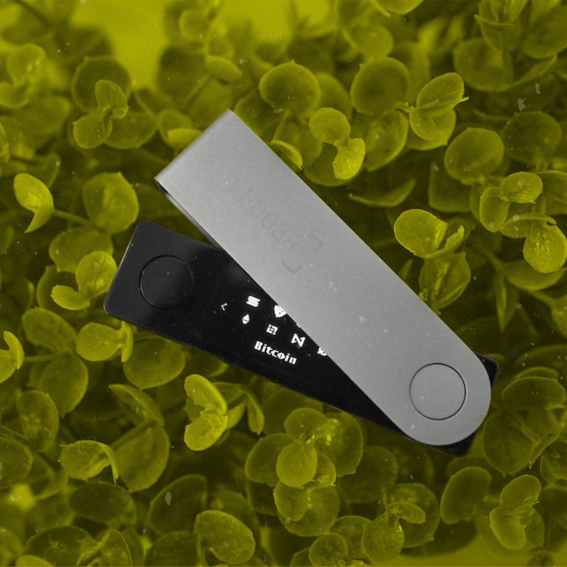 bitcoin-wallet.png